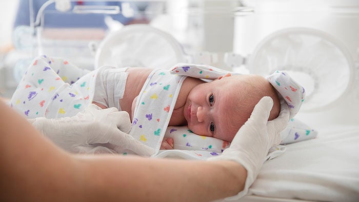 family centered care concepts in the nicu video