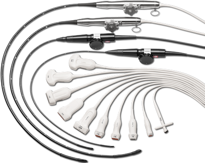 Transducer family image