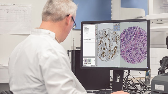 Download image (.jpg) Managing Pathology Data in an AI World (opens in a new window)
