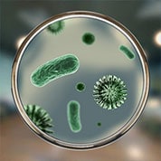 Алергия към микроби